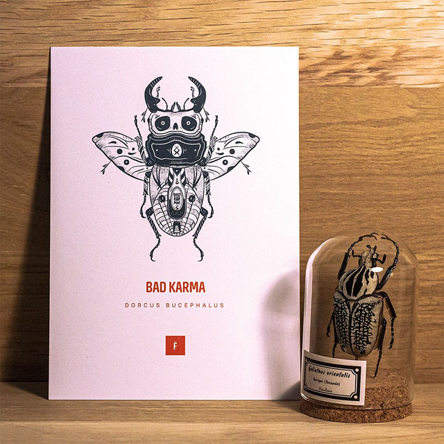_A5 / Bad karma