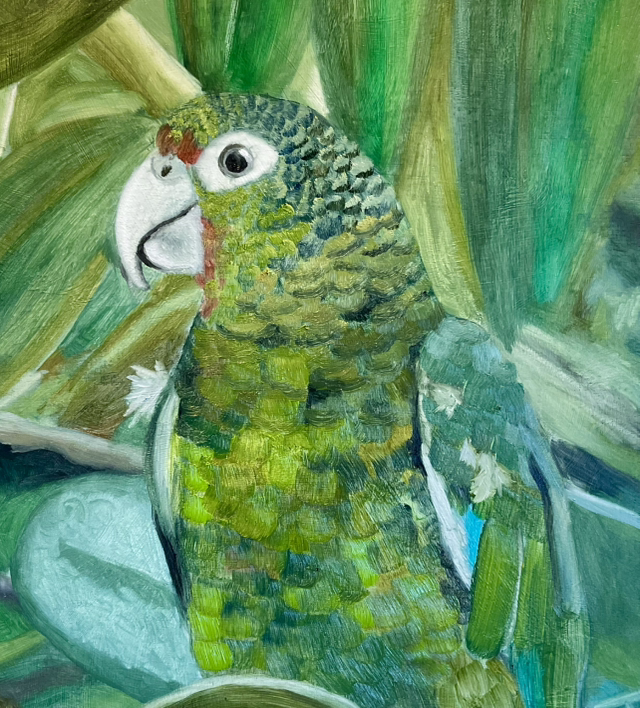 Original study in oils, Green Parrot