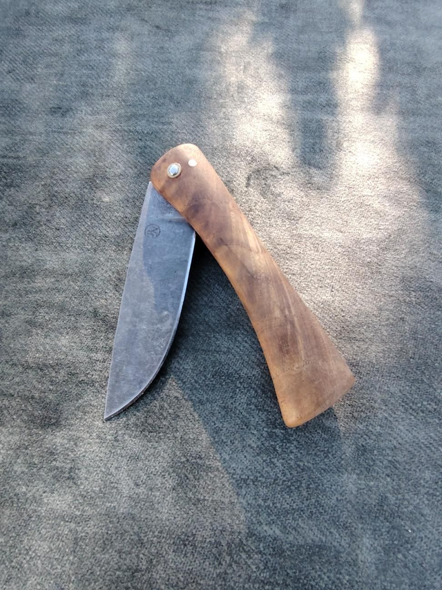 2 clous classique Albizia n°36