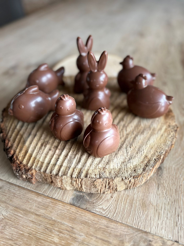 Moulage - Collection les animaux 