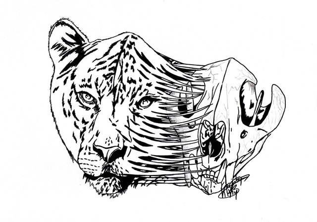 au fond des choses panthère