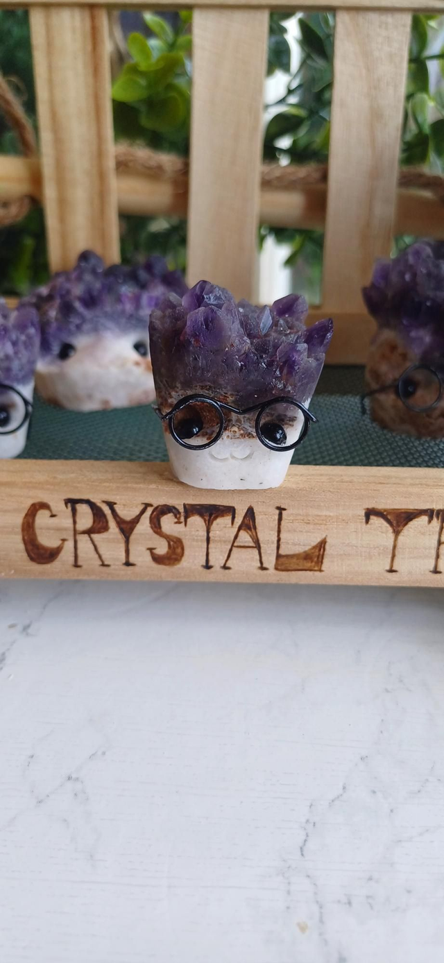 Professor Pebbleton - Crystal Critter Scholars