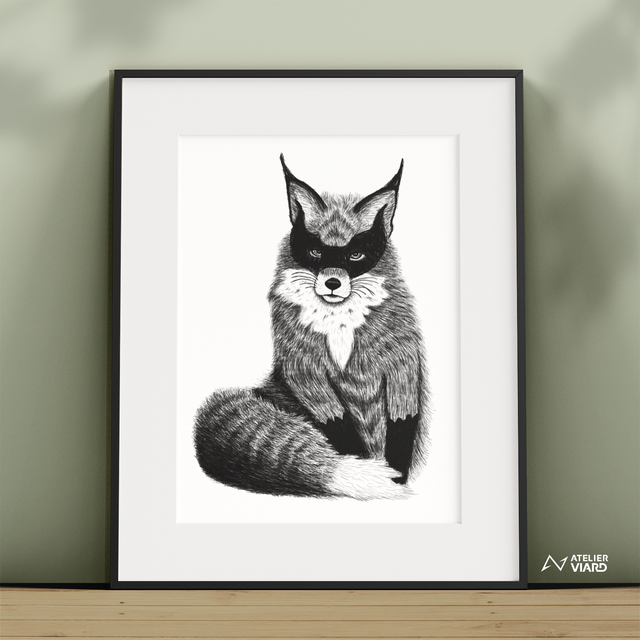 Renard masqué - Collection animaux