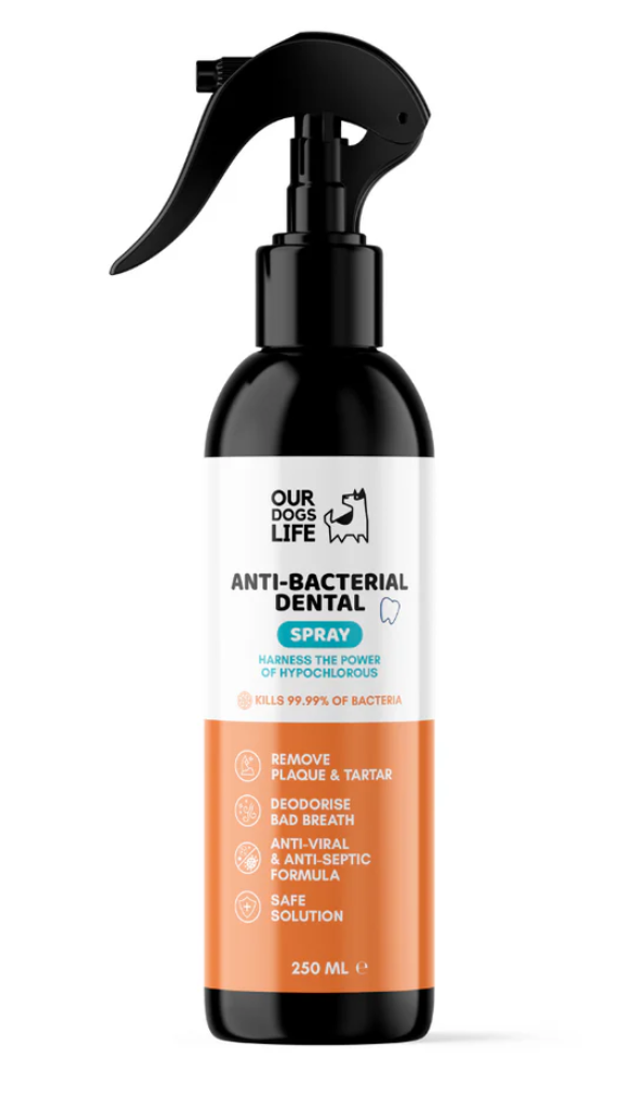 OurDogsLife-Anti-Bacterial Dental|250 ml