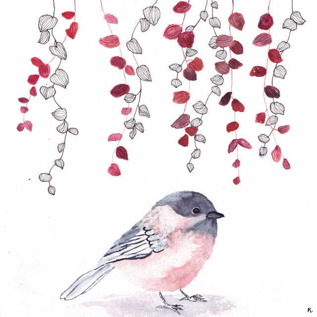 Cadre - Mésange nonette