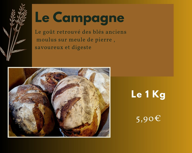 Le campagne 1kg