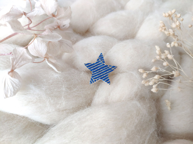 Pin’s Petite Étoile
