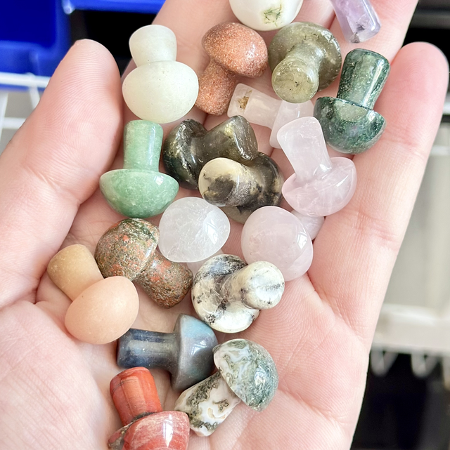 30 x Bulk mushroom lots 