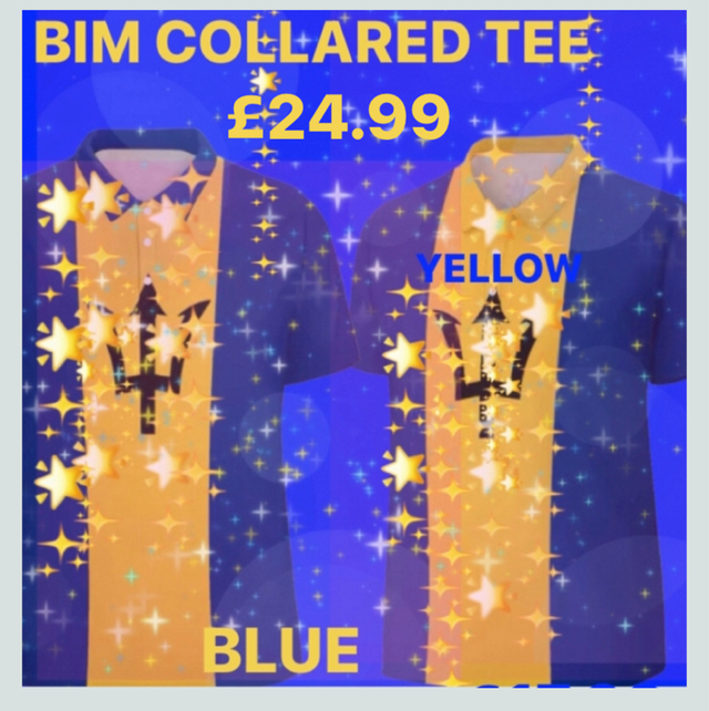 🇧🇧BIM KD COLLECTION COLLARED TEE