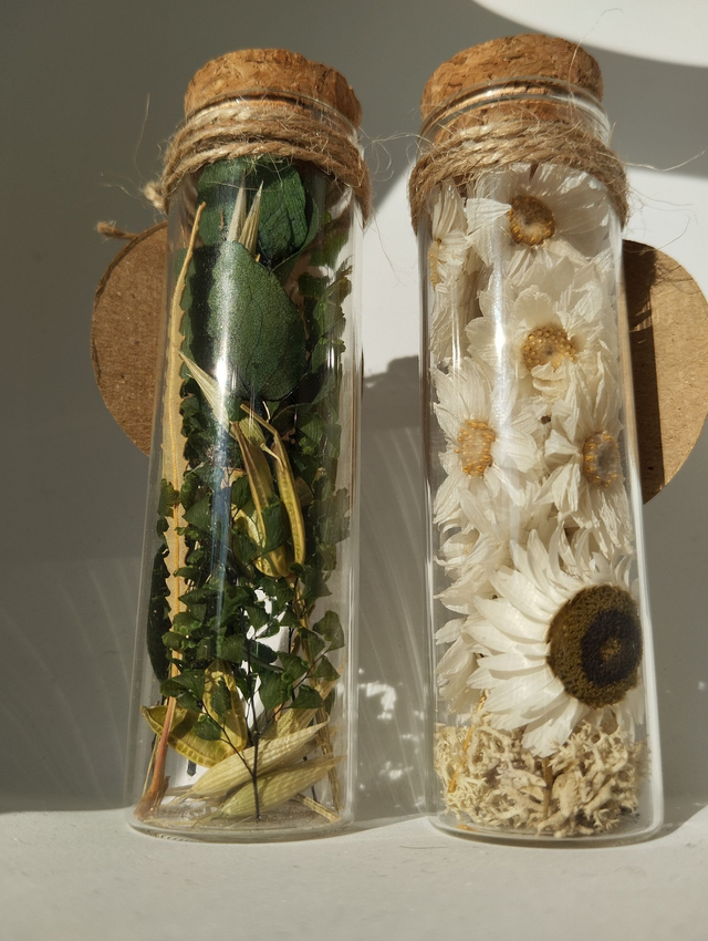 Tube à essai de fleurs séchées à l'unité