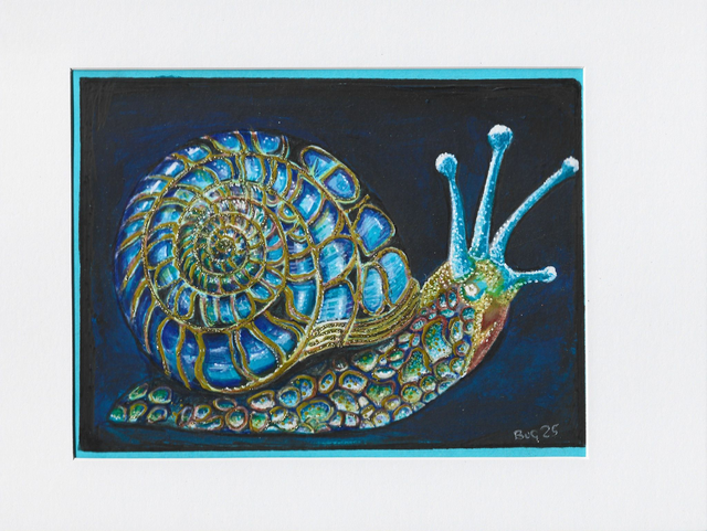 Spirals of Imagination: Discovering the Galactical World Of Garry The Snail