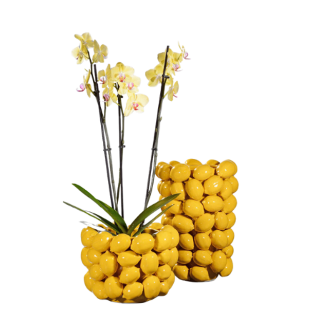 Zitronen Vase Limona gelb 23,5cm