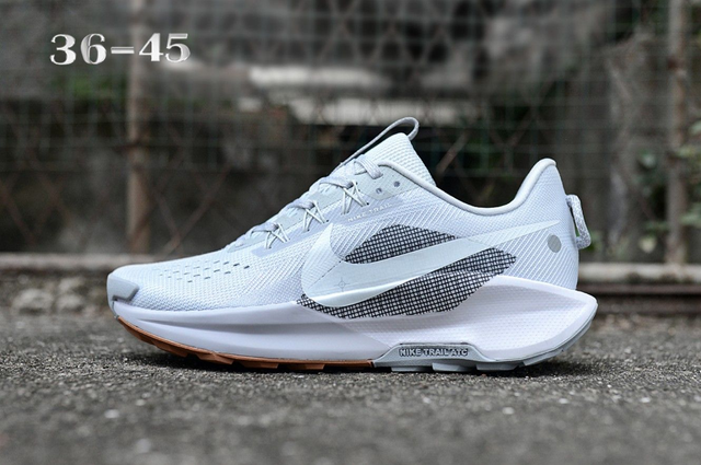 Nike Pegasus Trail 5 (Vendu sans la boîte )