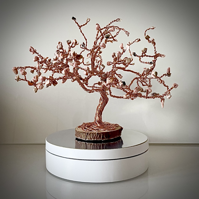 Arbre Cerisier Japonais Rhodochrosite