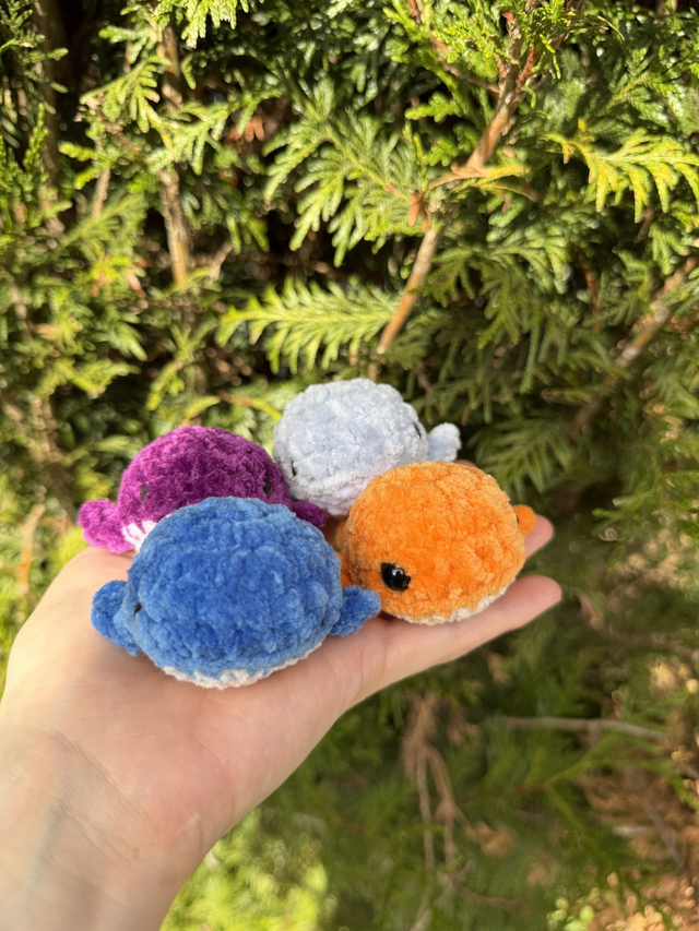 Baleine - Mini 🐋 