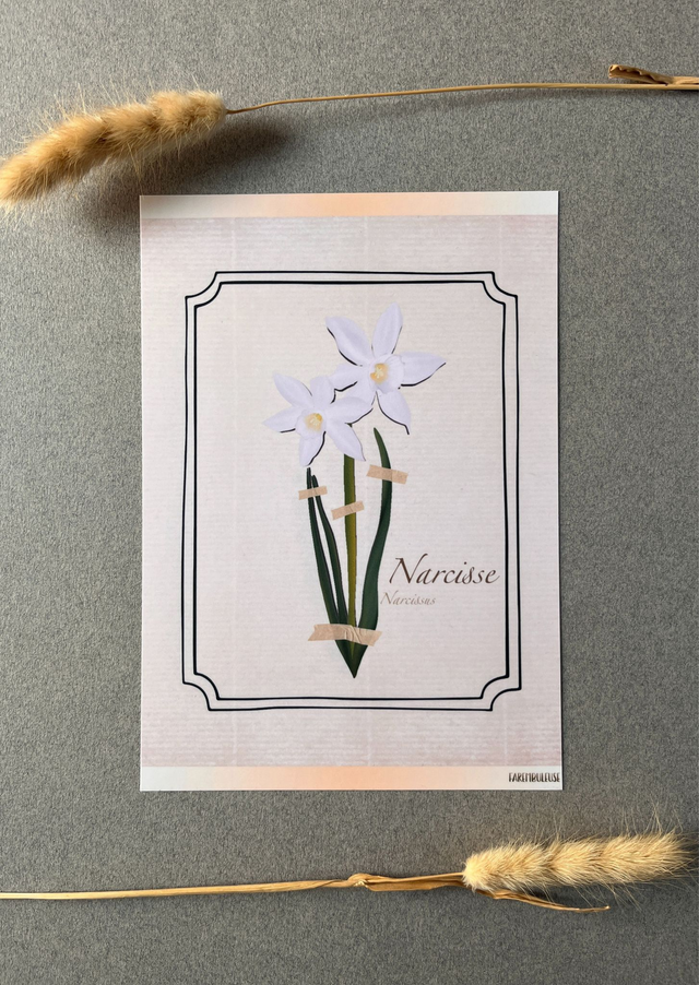 Affiche 03. Le Narcisse (mars)