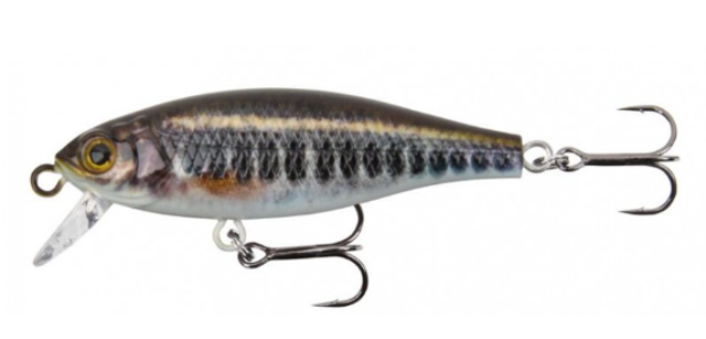 SHORTY 50S Color VAIRON