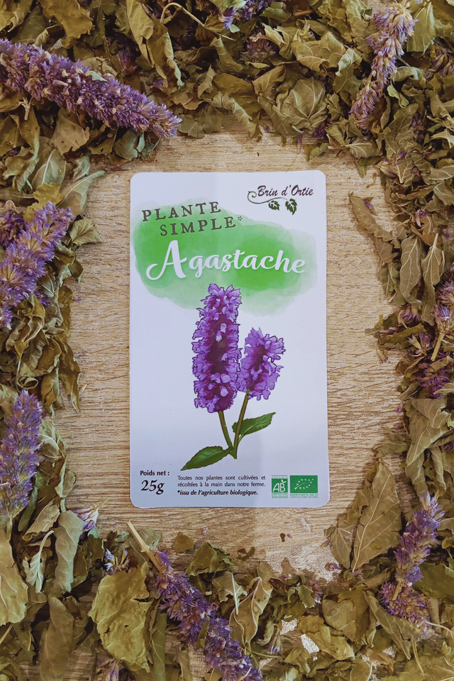 Plante simple, Agastache