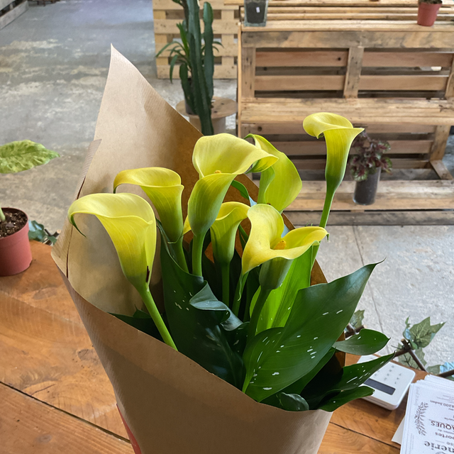 Calla
