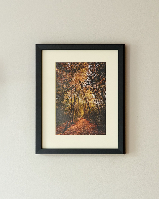 Archway To The Woodlands - Framed Print 15 ¼&quot; x 12 ¼&quot;