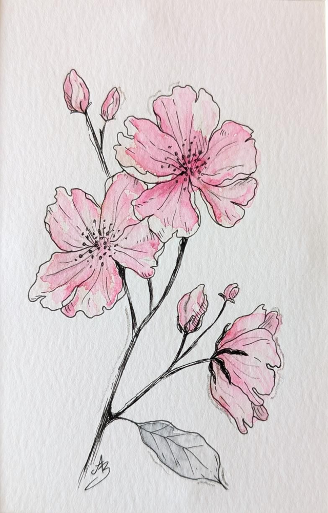 Fleurs de cerisier roses • Aquarelle originale encadrée