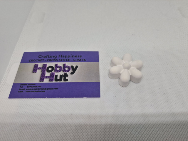 Paint-Your-Own Flower Daisy