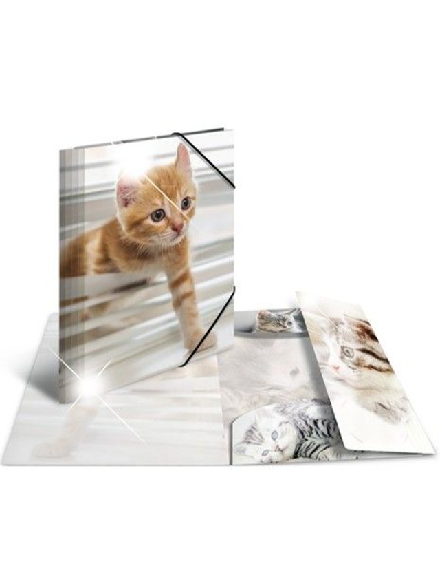 HERMA Gummibandmappe