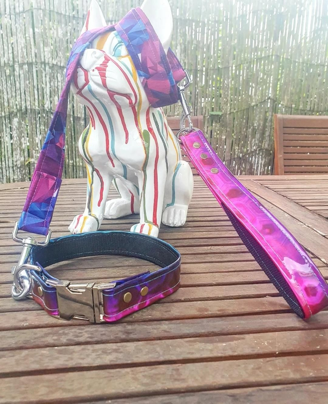 SET_ Collier + Laisse ◾️HoloGirly