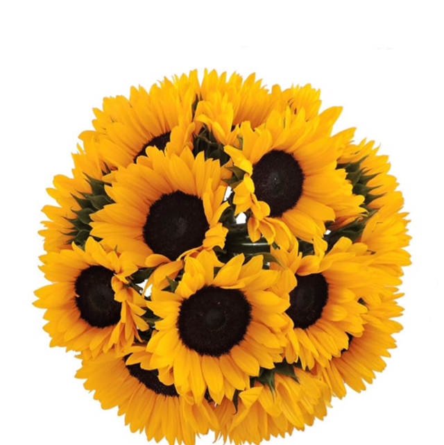 Bouquet di 11 girasoli 