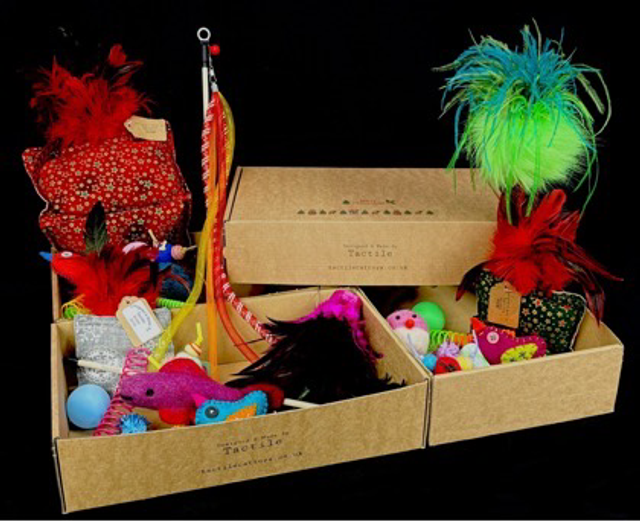 Christmas Box with 3 Segment Arthropod Kicker