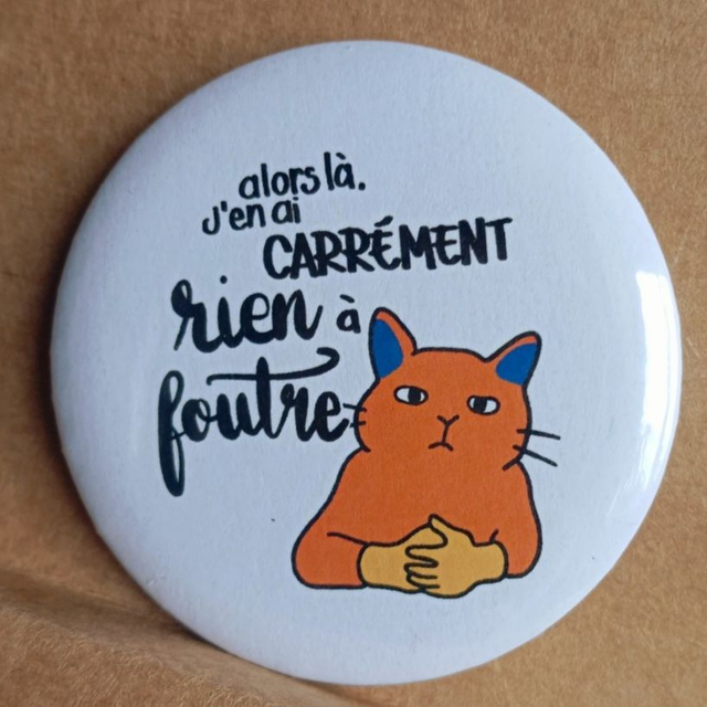 Le chat qui en a carrément rien à F.