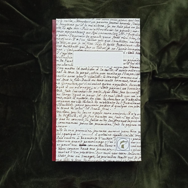 Noteworthy notes: Handsized notebook