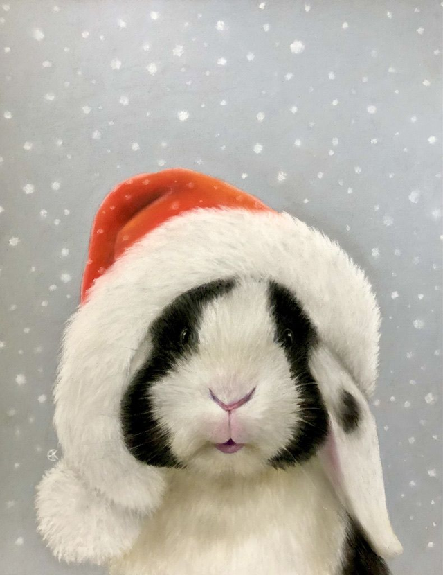 Christmas Cards (pack of 7) 'SANTA CAS' (Konijnenparadijs) 