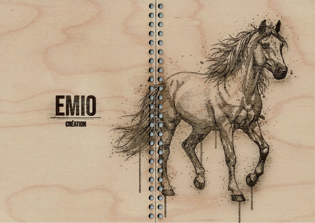 🐎 CARNET CHEVAL