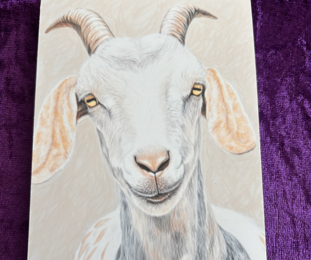 Plain Note Pad Goat white with pink ears
