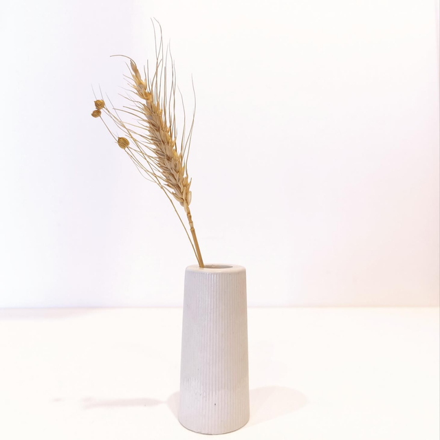 &quot;Solune&quot; Mini vase artisanal en gypse avec fleurs séchées – déco minimaliste   