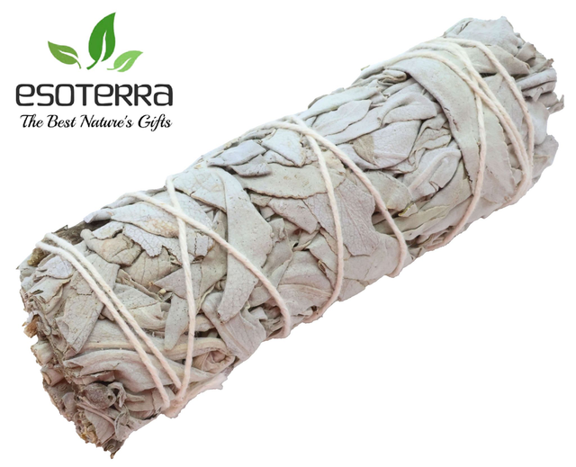 Bouquet Sauge Blanche 