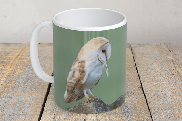 “Barn Owl” Mug  