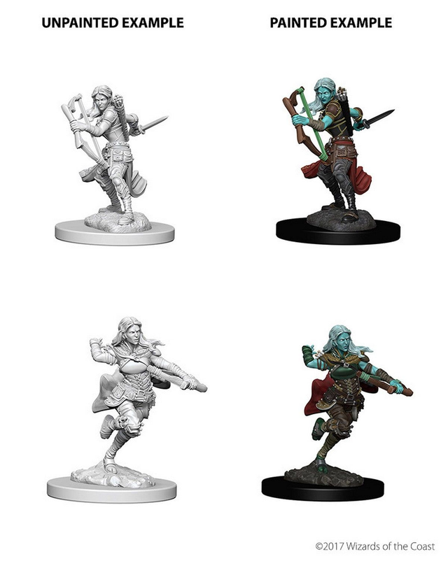 Wizkids D&amp;D Nolzur's Marvelous: Unpainted Miniatures - Air Genasi Female Rogue