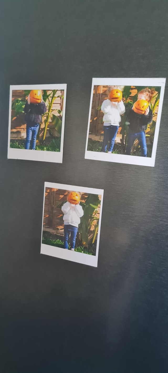 Magnets ( Lot 9 )