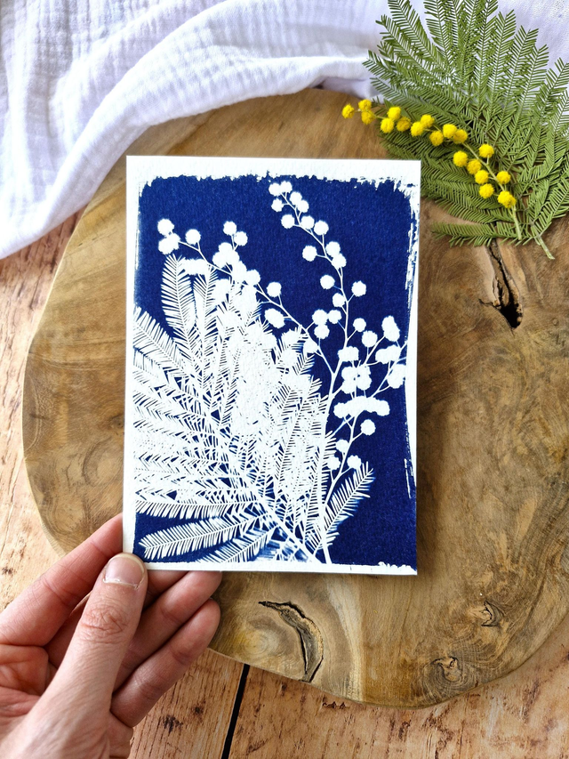 💙 Cyanotype - Carte 3 - Mimosa Ô! - Mini CyanÔ