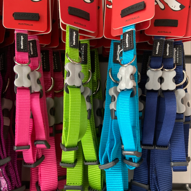 RedDingo Plain Collar - Medium