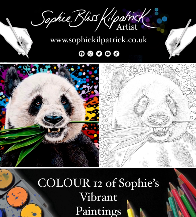 Adult Colouring Book - Splat Designs