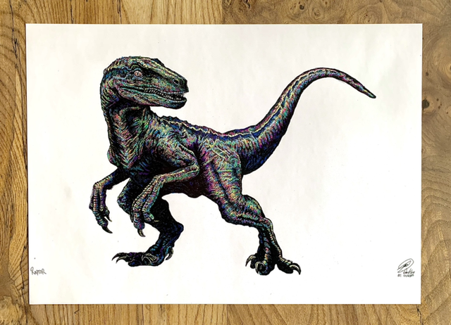 Multicoloured raptor 