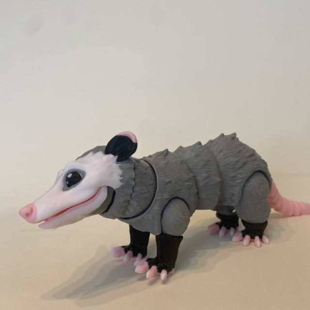 Opossum