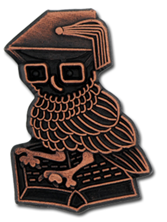 (2) Owl Badge - Bronze