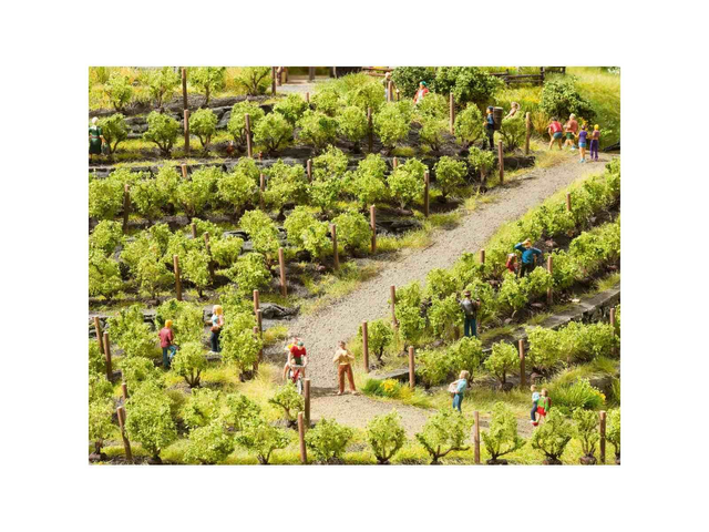 vignes 24 pièces Noch 21545 N Z