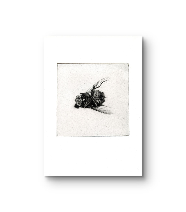 Flies "One down"  handprint photogravure A6 