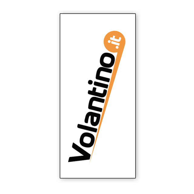 Volantini Lunghi (10x21 cm)