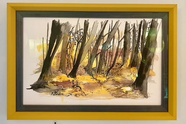 L’orée de ma forêt 🌳